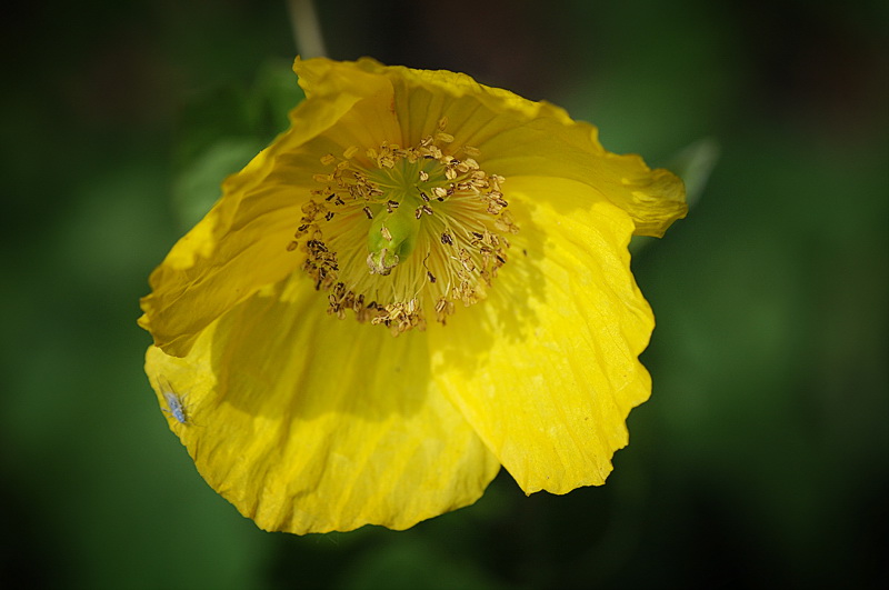 D31_0285 Kopie.jpg   26.04.jpg